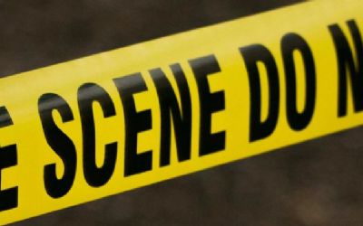 Mord auf dem Laufsteg - «Todschick»