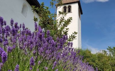 Kammermusiktage Bergkirche Büsingen
