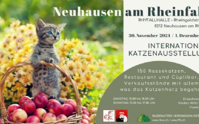 Internationale Katzenausstellung