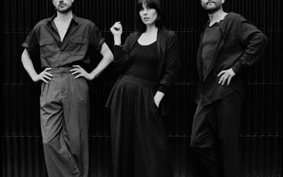 Dark Hall Vol. X
