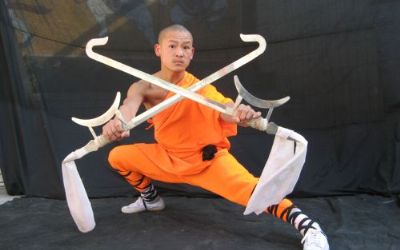 Die Meister des Shaolin Kung Fu