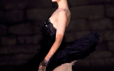 Black Swan