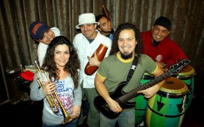 Kings of the Bongo