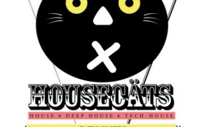 Housecäts