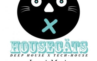 Housecäts