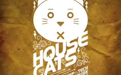 Housecäts