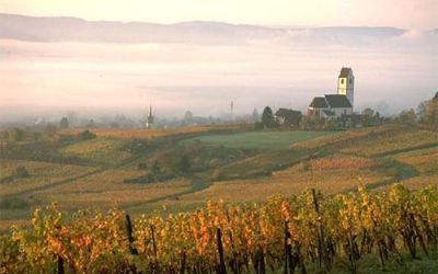 Hallauer Herbstsonntag