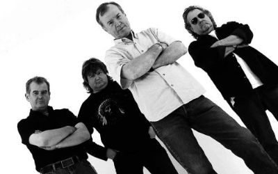 The Animals & Friends (UK)