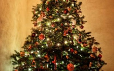 Weihnachten - gemeinsam statt einsam