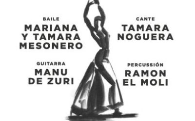 Flamenco im Fass - Flamenco por Alegria